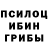 Галлюциногенные грибы мицелий Cooled Cocoa