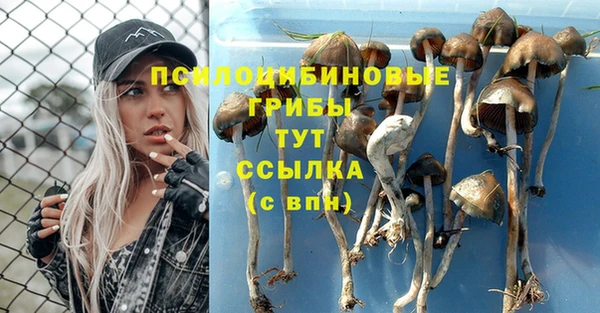 mix Бронницы