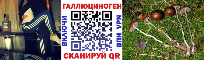 блэк спрут ссылки  Улан-Удэ  Галлюциногенные грибы мухоморы 